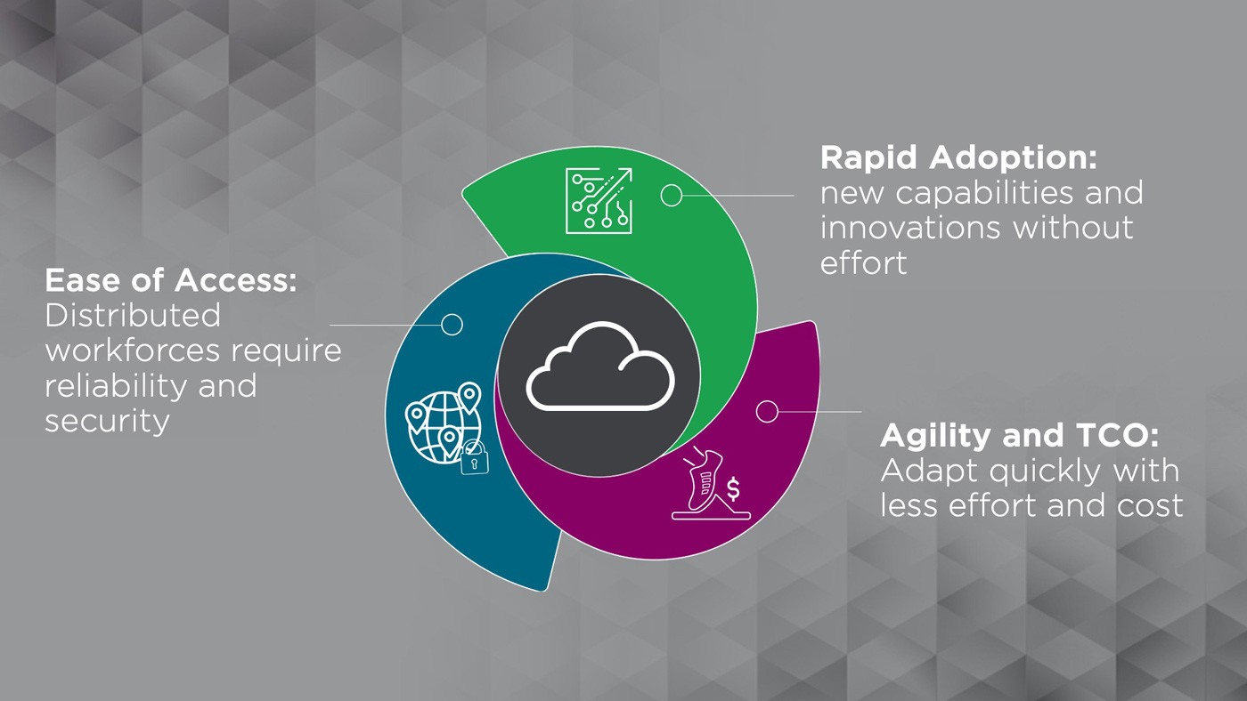 Climber Qlik Cloud Graph